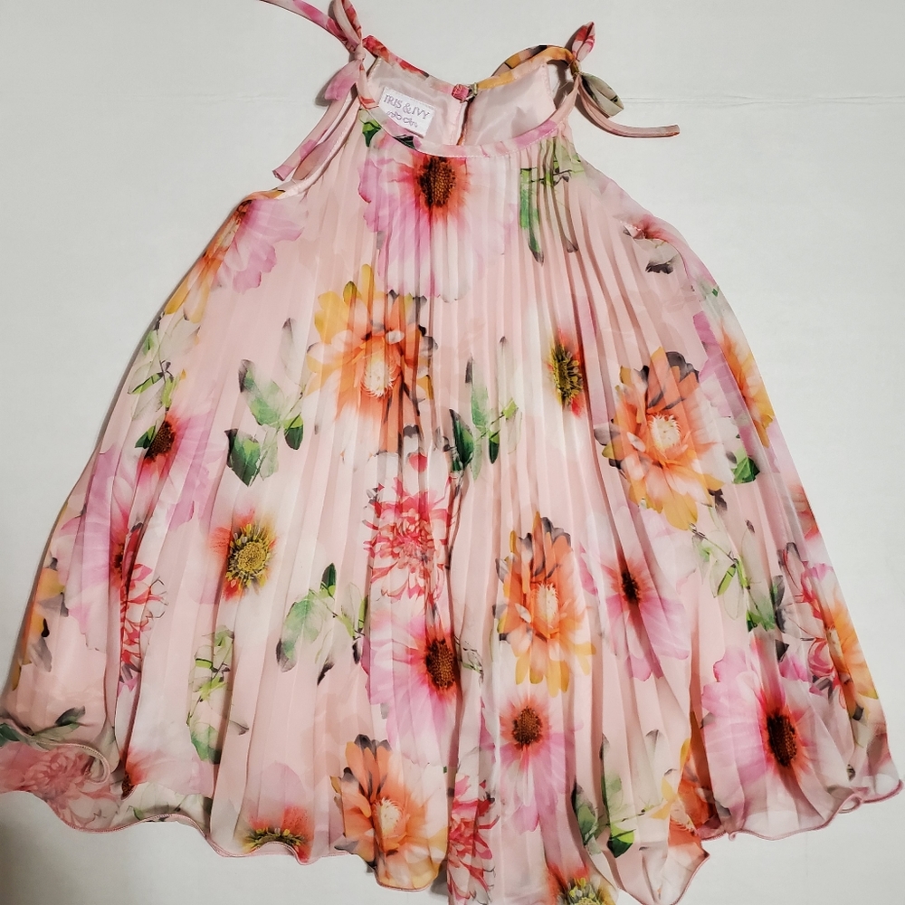 Iris & Ivy - New & Beautiful Pink Floral Pleated Trapeze Dress - Toddlers